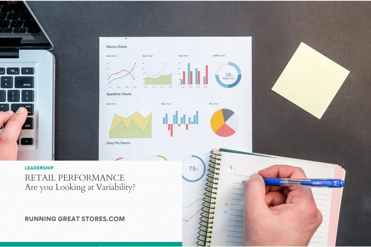 Featured image for “Variability in Retail Performance”